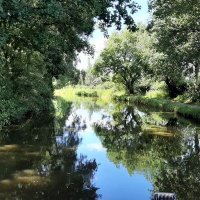 Joanne Elliott (@jo_c_elliott) 's Twitter Profile