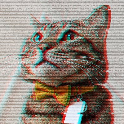 1027kg's profile picture. ほぼ猫関係RTと技術の話です。ネイティブナゴヤンのエンジニアです #GetWild