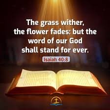 The home for the word of God for those in need of healing and spiritual growth.
Come and have and meet God.

God is a rewarder of those who diligently seek him