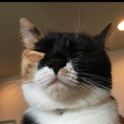 leo1640547's profile picture. 🐸🦌🥫都内稼働。推しはパークナード代官山