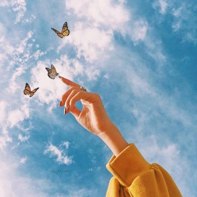 MohFaegheh's profile picture. 