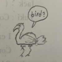 🥚ココ🐓 (@k0k0_01) 's Twitter Profile
