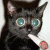 I am interested on blogging and have published many hubs on hub pages.