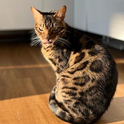 yannikxs_'s profile picture. 