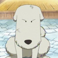 mac (@bdlyc) 's Twitter Profile