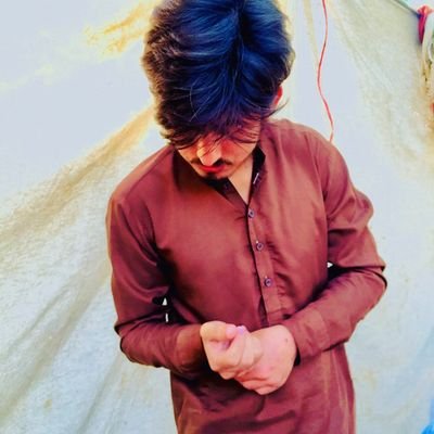 ParadiseRo98193's profile picture. Trader 
favorite #bitcoin