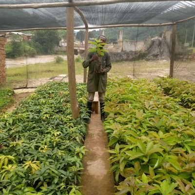 CEO & founder of @Rwanda_EUI || President, @Rwandacssa ||Fruits Seedlings Distributor || climate Activist || Aginfluencer || #EgeraUmuhinzi