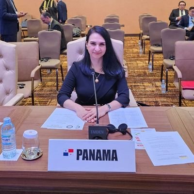 Madre, economista, docente universitaria, Exministra de Desarrollo Social de Panamá y Representante Permanente, Embajadora,  de Panamá ante las Naciones Unidas.