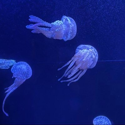 Arukarakokokara's profile picture. YouTube、少しやってます。良かったら見てみてください。