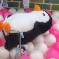 コッペン (@honeyworks_kop) Twitter profile photo