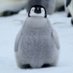 Penguin (@fnkgjsaSU1HLGid) Twitter profile photo
