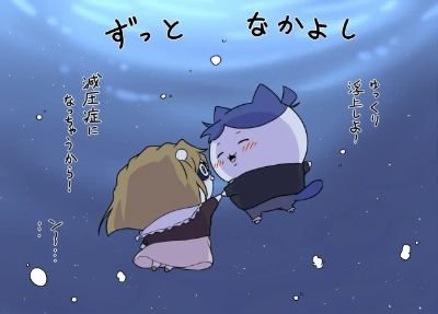 SHARK221B's profile picture. QWERTY