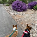 Cathi Jones - @CathiJones29821 - Twitter