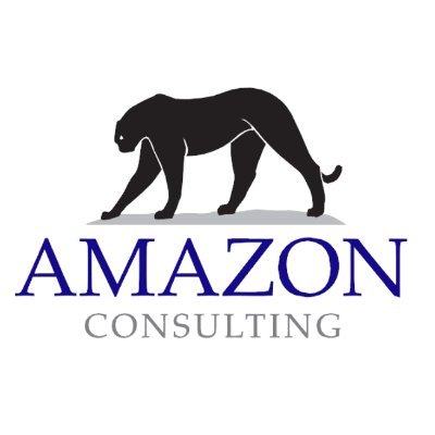 Amazon Consulting