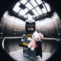 Vertexoo (@vertexisvexed) 's Twitter Profile