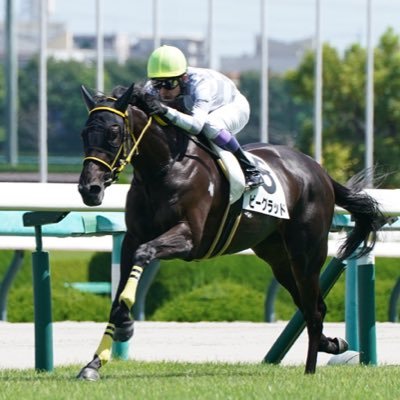 インゼル、東サラ、ノルマンディー、広尾、DMMバヌーシーで一口馬主をしています🏇✨　出資馬が活躍するのを楽しみにしています✊🔥