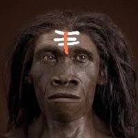 विजिगीषु आदिमानव (@aadihomo_1) 's Twitter Profile Photo विजिगीषु आदिमानव (@aadihomo_1) 's Twitter Profile Photo