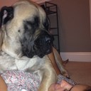 Stephen Batts - @Batts25 - Twitter