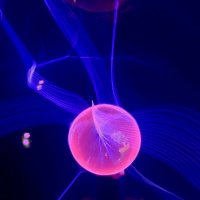 National Quantum Computing Centre (@nqcc_official) 's Twitter Profile