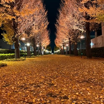 04 法政 社会 社会政策科学科 同じ大学の人フォローさせて下さい。よろしくお願いします。