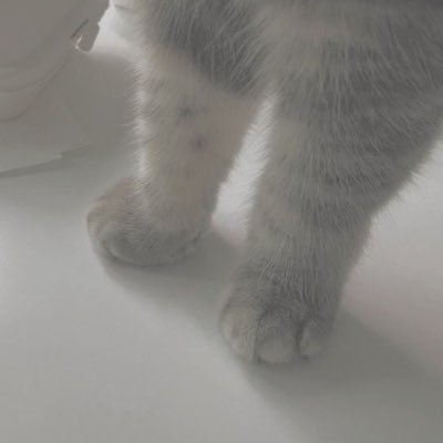 kyuutea__'s profile picture. 𝐊𝐲𝐮𝐮𝐮. . .