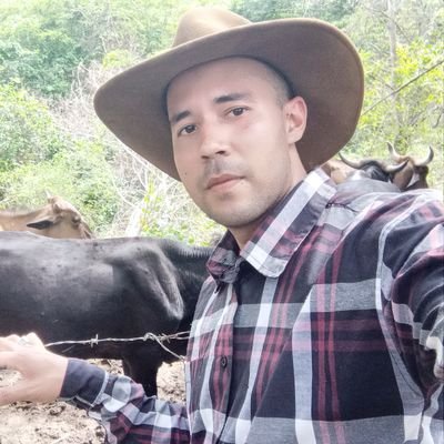 RobertoGilVilo1's profile image