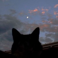 ᴶᵒʰᵃⁿ-ᴬᵍ ᵕ̈ (@yohis_ds3) 's Twitter Profile