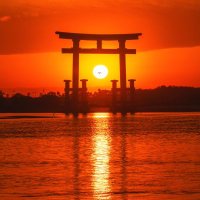 猿（100匹目） (@100th_mo_effect) 's Twitter Profile Photo
