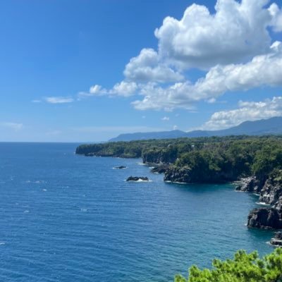 katayama_018's profile picture. 