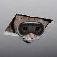 eechentx ✨ (ceilingcat.bsky.social)(@eechentx) 's Twitter Profile Photo