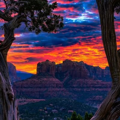 Bynx832's profile picture. 