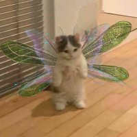 bee ‧₊˚🌿 (@lowcalyog) 's Twitter Profile