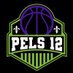 The Pels 12 (@thepels12) Twitter profile photo The Pels 12 (@thepels12) Twitter profile photo