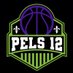 The Pels 12 (@ThePels12) Twitter profile photo