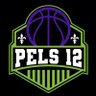 ThePels12's profile picture. Official Home of The Pels 12 ⚜ Skelicans Basketball ⚜ We Are The Party ⚜ Herb Jones is DPOY ⚜