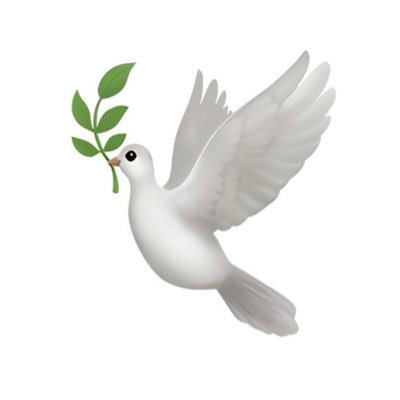 _iredvelvet's profile picture. 