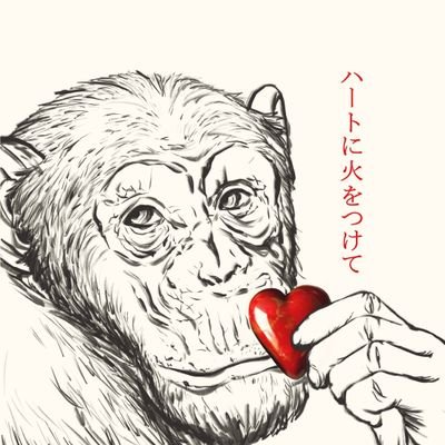 STOVE+ official Twitter。
2000年10月に秋田県秋田市にオープンしたパティスリーストーブ。
2020年12月には店名を新たにストーブプラスとしてリニューアル致しました。
休業日:不定休 (ホームページに記載)
営業時間:12:00〜18:30