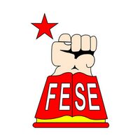 FESE Nacional (@fesecn) 's Twitter Profile