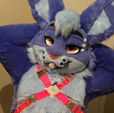 32. Gay. Trans. he/him. Robo rabbit. service buck. generally kinky, horny, and here is where I get to show that off. 18+ only. AD account of @bunndroid