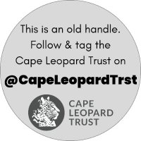 Fynbos Leopard (@cape_leopard) 's Twitter Profile