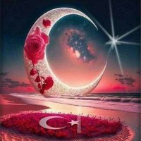 Meltem Gök (@meltemgk2033148) 's Twitter Profile