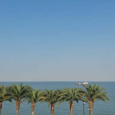 GGBOND232604's profile picture. 