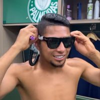 Palmeiras memes🐷💚(@palmeirasmeme) 's Twitter Profileg