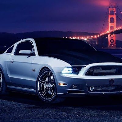 MihailParh82724's profile picture. 