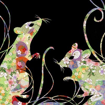 Eco_428 / Eiko Shibuyaさんのプロフィール画像
