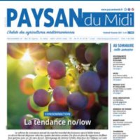 PaysanduMidi (@paysandumidi) 's Twitter Profile Photo PaysanduMidi (@paysandumidi) 's Twitter Profile Photo