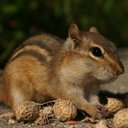 Wilson Simon - @thEWilson161 - Twitter