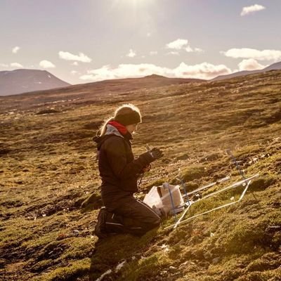 PhD Student in Arctic plant-soil interactions 🌱 Investigating Arctic Greening on Svalbard🏔️🐻‍❄️