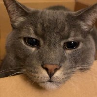 kendra (@districtskz) 's Twitter Profile