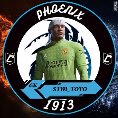 administrateur efa / président structure STORM ELITE / gk au club phoenix